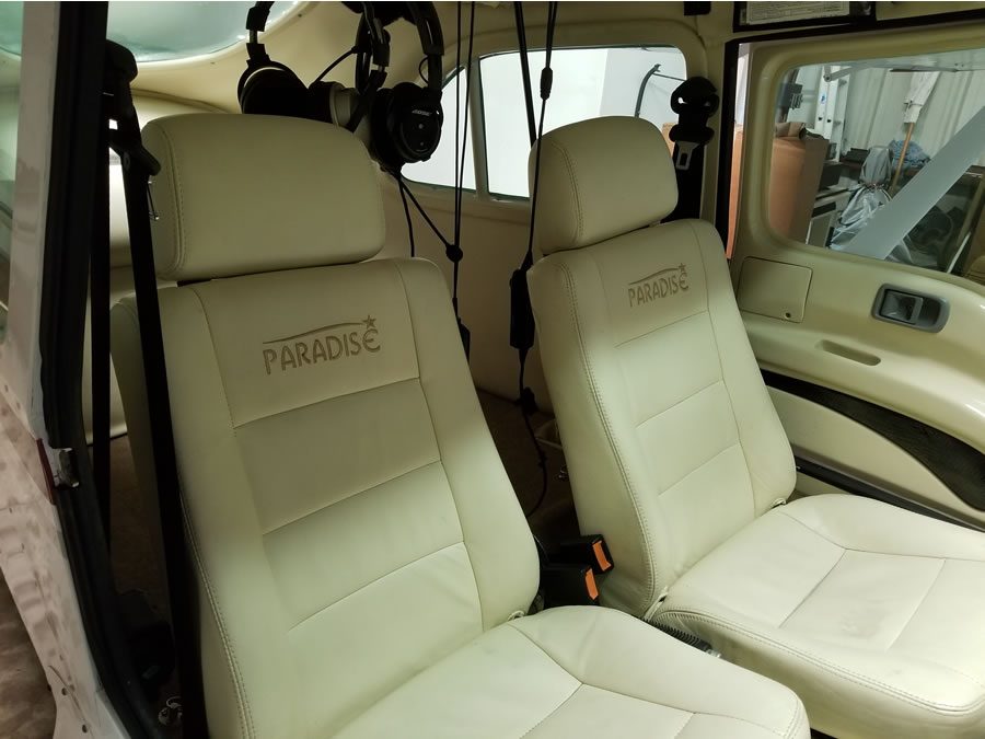 2009 Paradise P-1