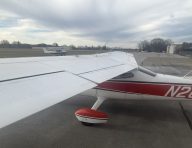 1977 CESSNA 177B