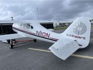 2004 Obert Neal (Griffon) Lionheart